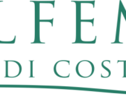 EDILFEMAR Logo aziendale